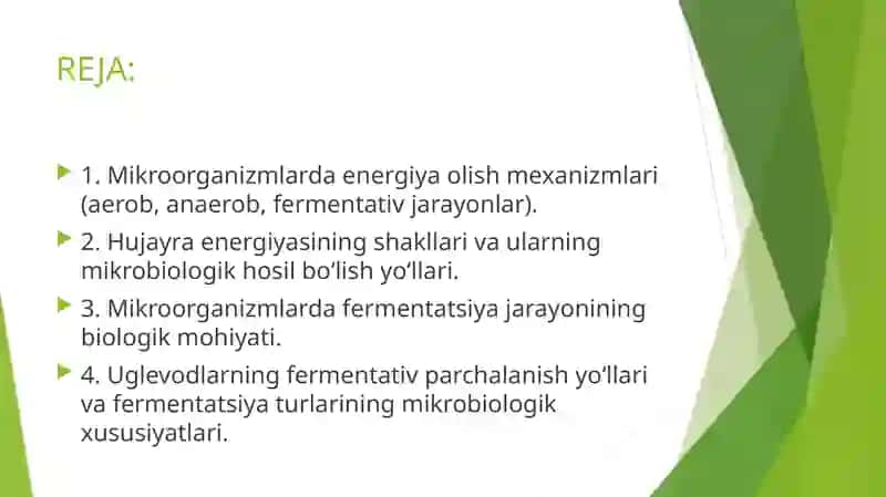 Mikrobiologiya 3