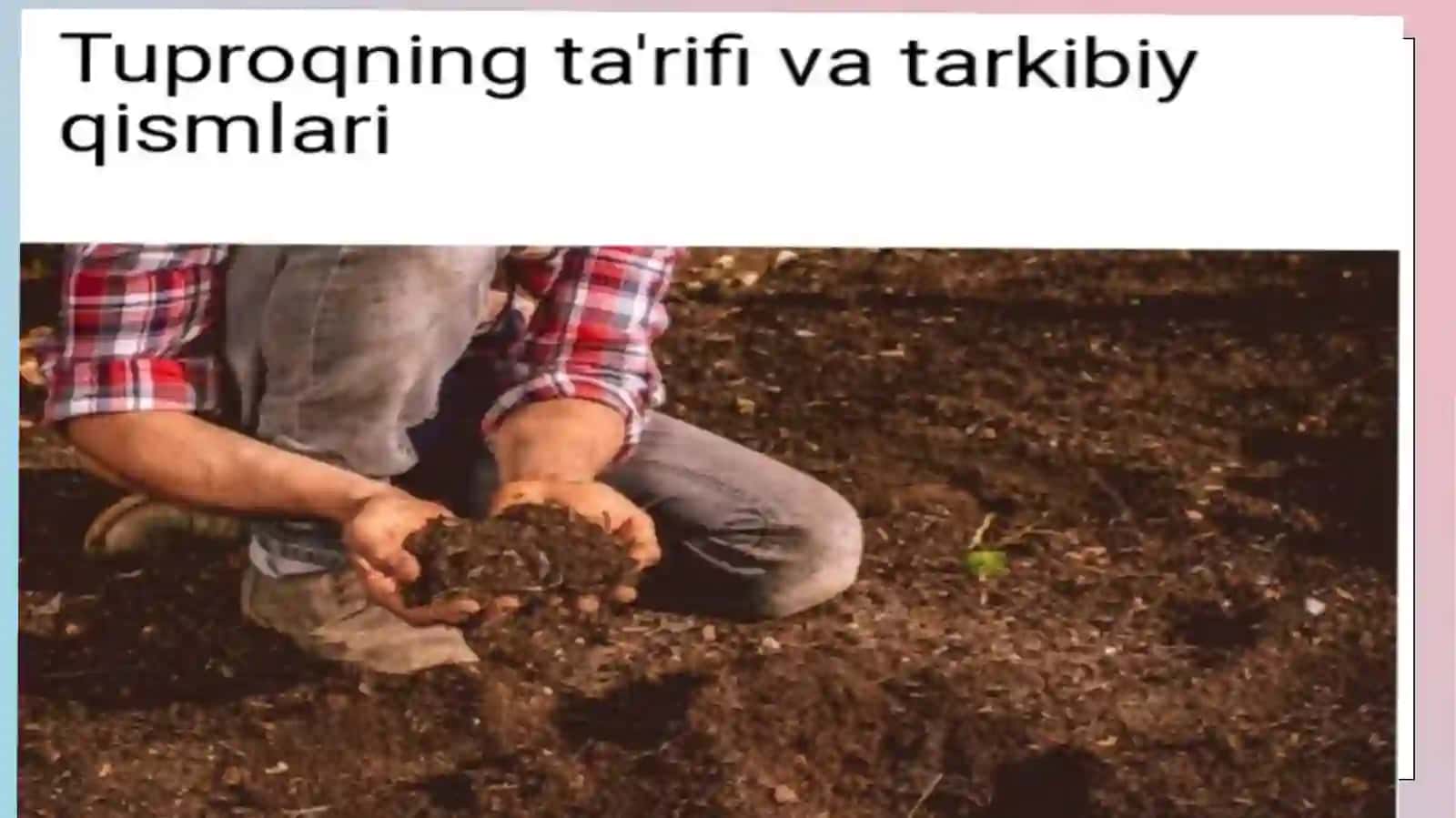 Ta'lim Yunalishlari 3