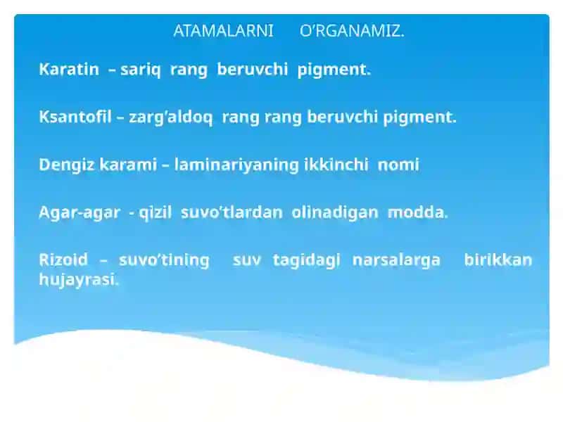 QO’NGIR VA QIZIL SUVO’TLARI 3