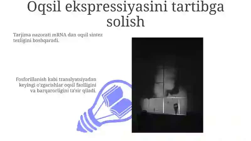 Ozuqa - oqsillar ishlab chiqarish 3