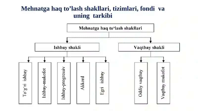 Mexnat va ish haqini hisobga olish 3