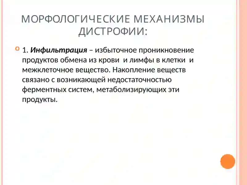 ДИСТРОФИИ 3