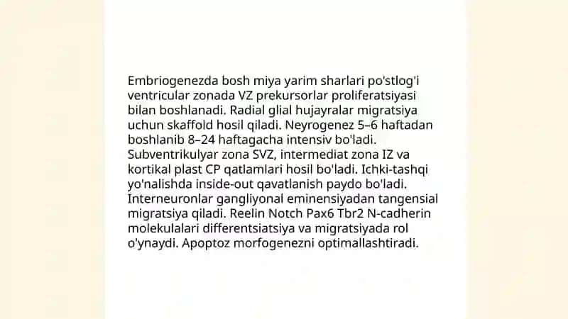 Bosh miya yarim sharlari po'stlog'ining morfogenezi 3