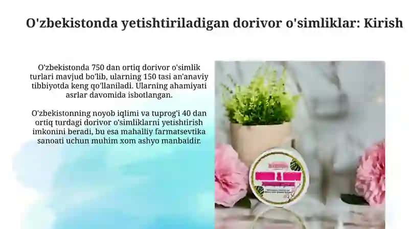 O‘zbekistonda yetishtiriladigan dorivor o‘simliklar 3