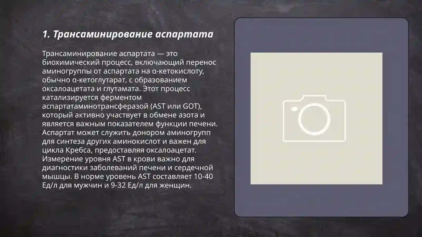 Путь трансдезаминирования аспартата 3