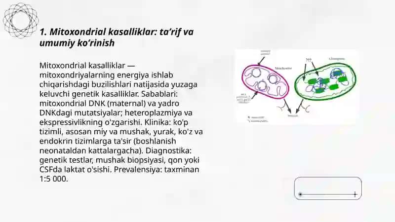 Mitoxondrial kasalliklar 3