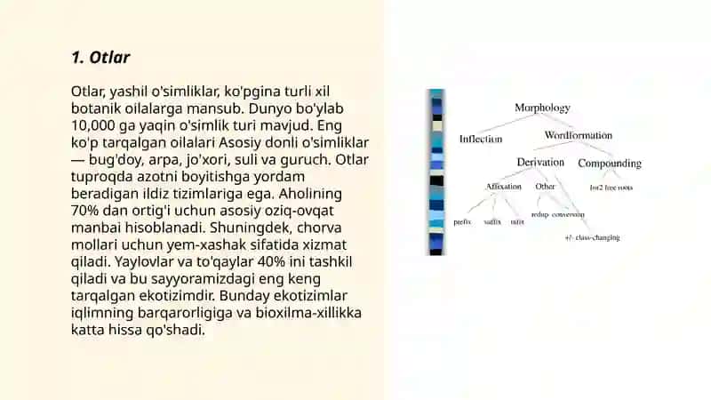 Morfologiya mustaqil soz turkumlari 3