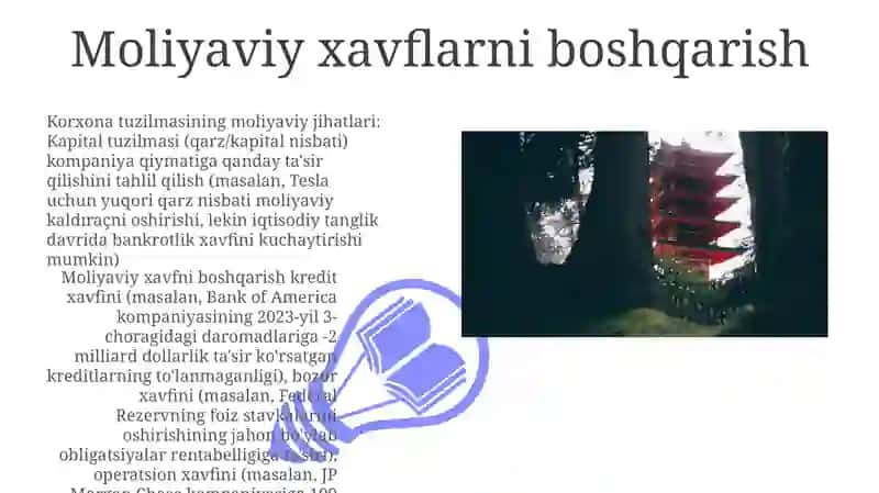 Korporativ tuzilmaning moliyaviy jihatlari 3