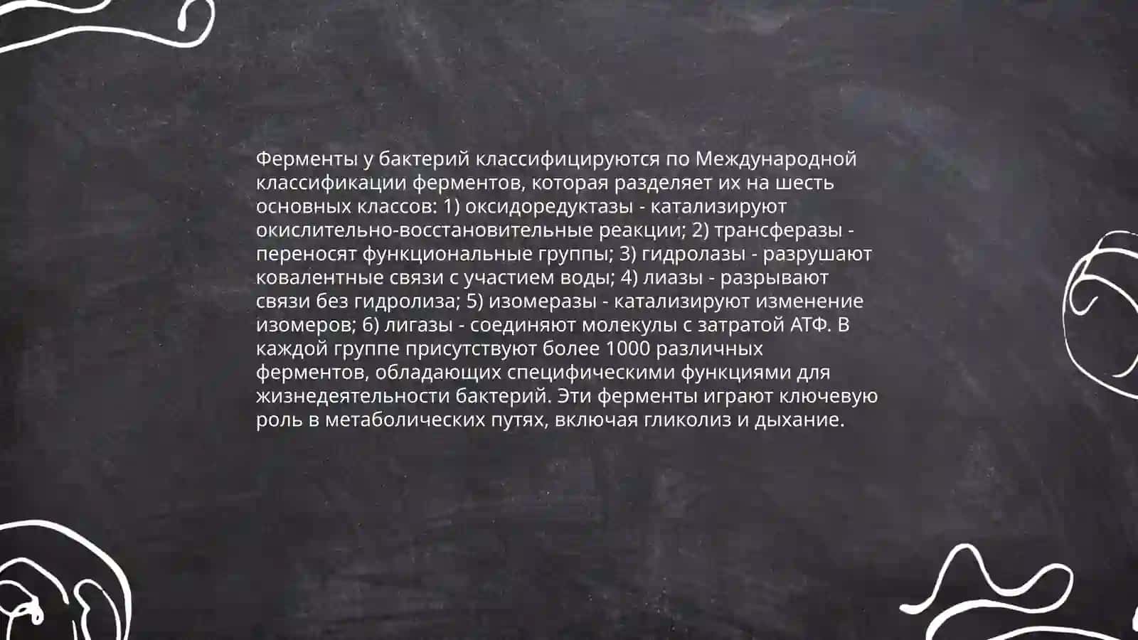 Классификация ферментов у бактерий 3