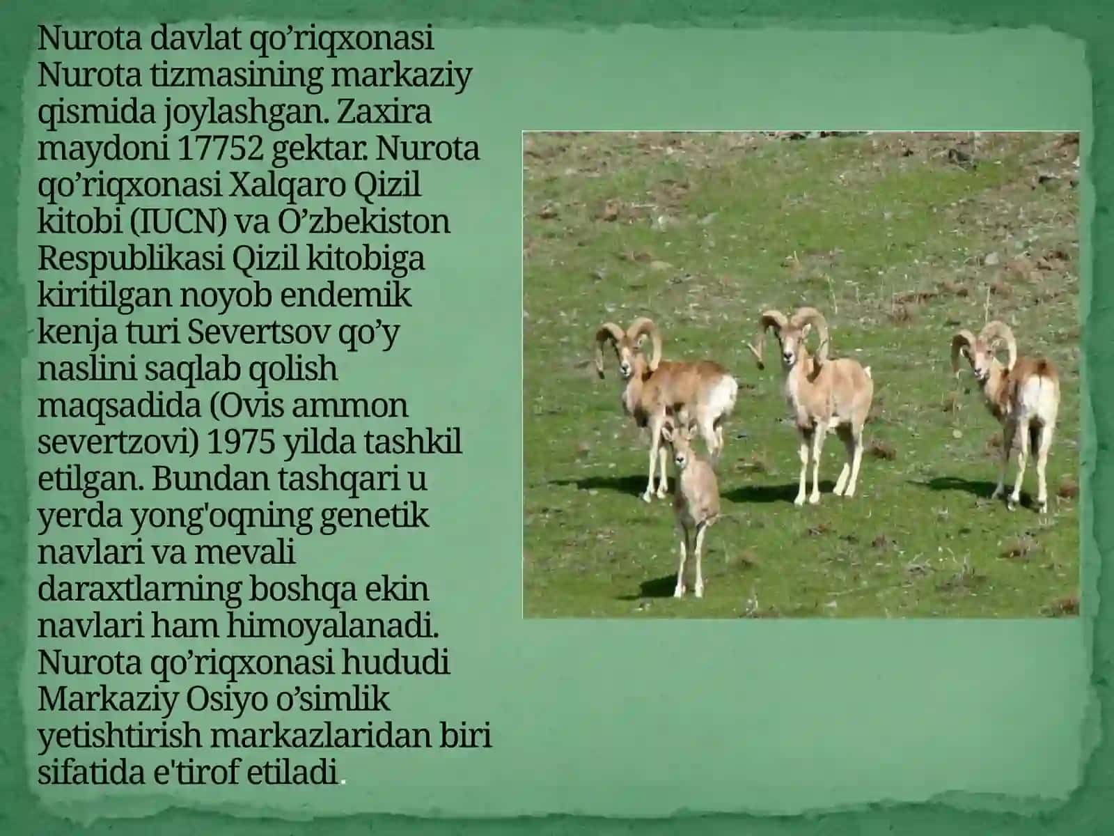 Nurota Davlat Qo’riqxonasi 3