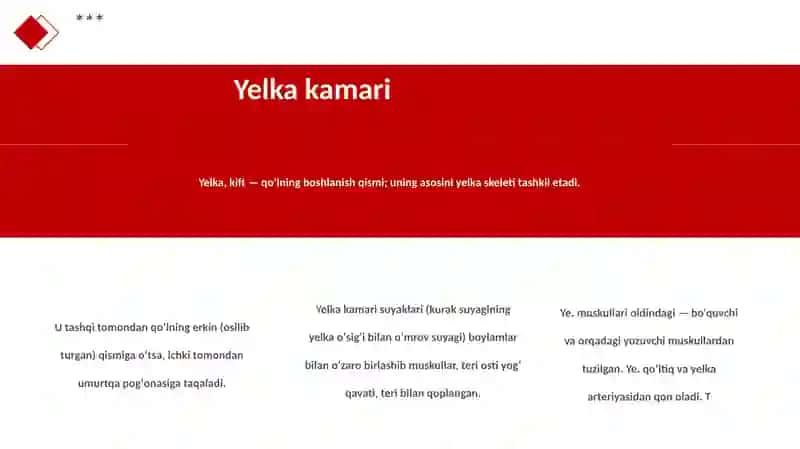 Yelka kamari va yelka mushaklari 3