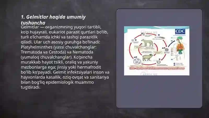 Gelmitlar haqida tushuncha 3