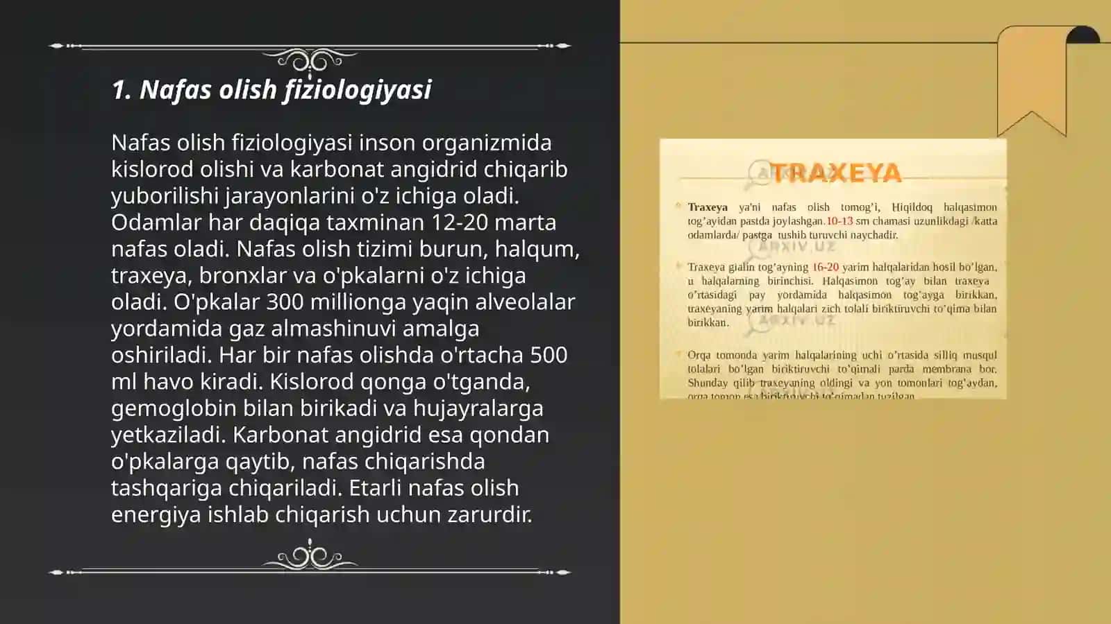 Nafas olish sistemasi va kasalliklàri 3