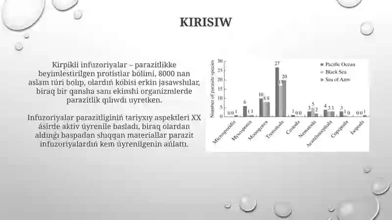 Kirpikli Infuzoriyalar 3