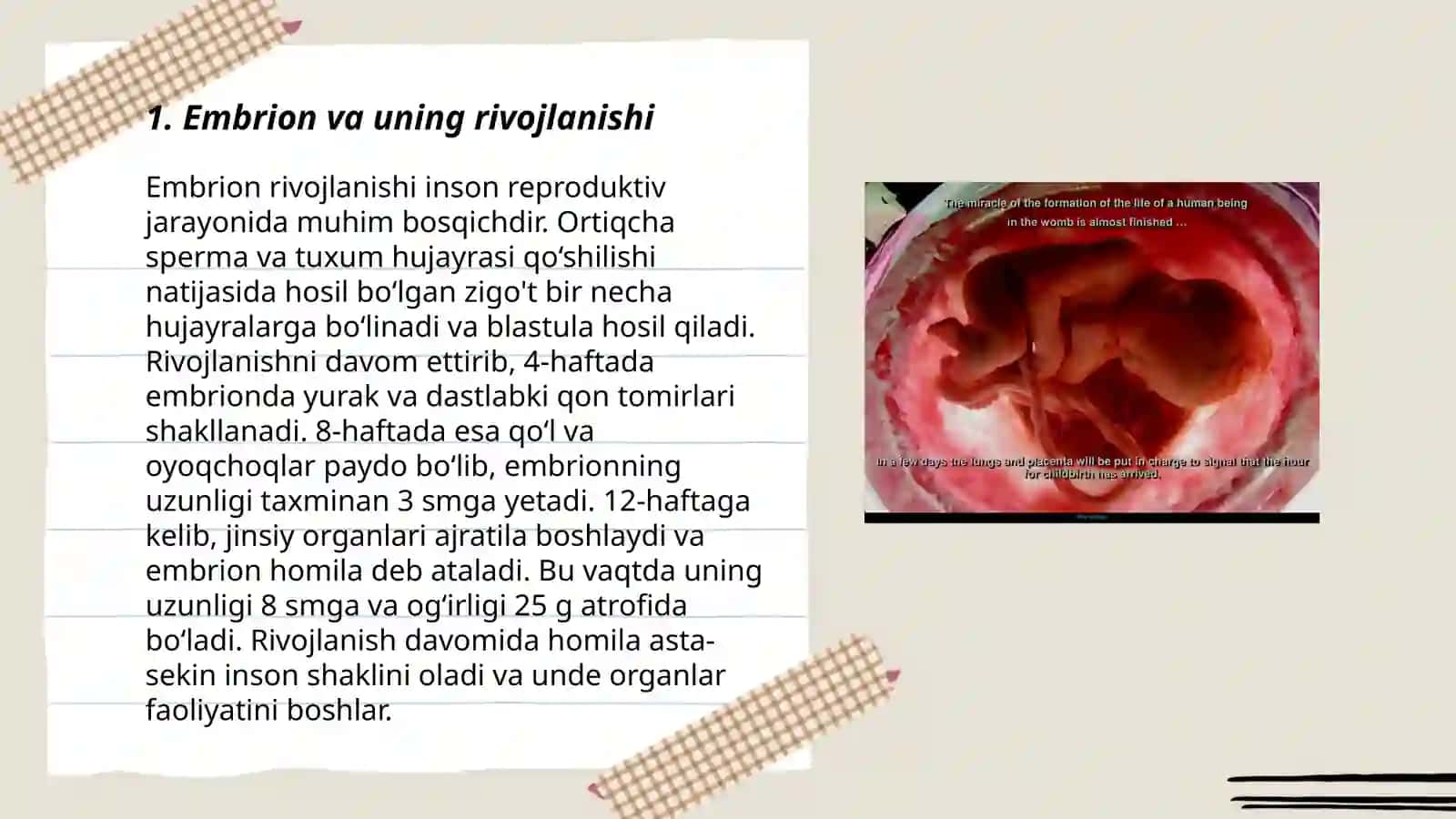 Embriologiya 3
