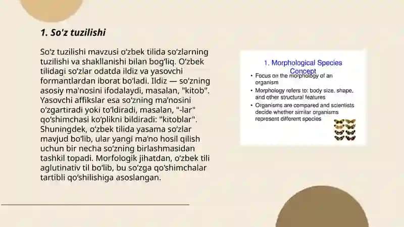 So'z tuzilishi 3