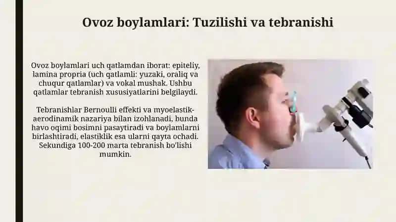 Ovoz hosil bo'lishi 3