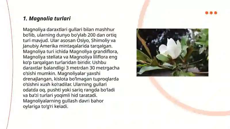 Magnoliyadoshlar oilasi 3