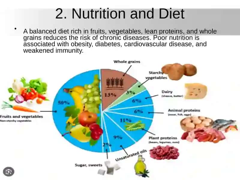 The Impact of Lifestyle on Health 3