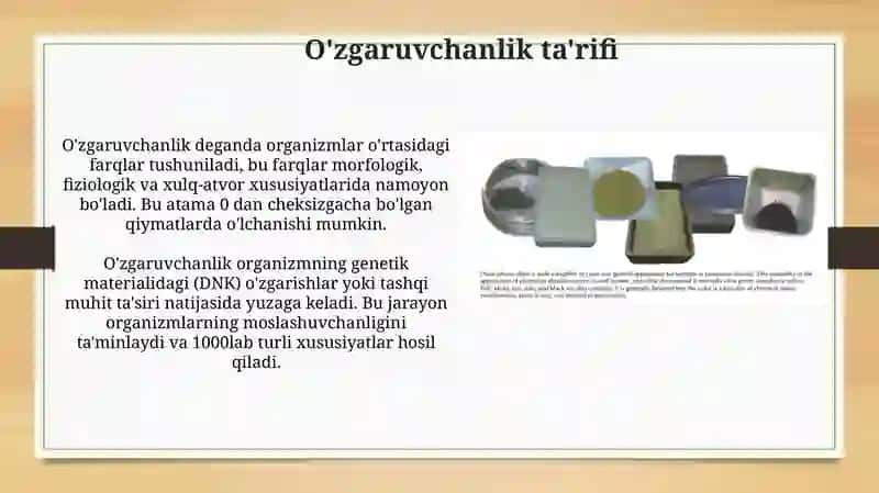 O'zgaruvchanlik va uning xillari 3