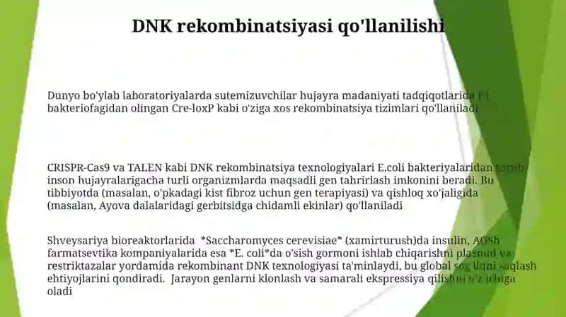 DNK rekombinatsiyasi 3