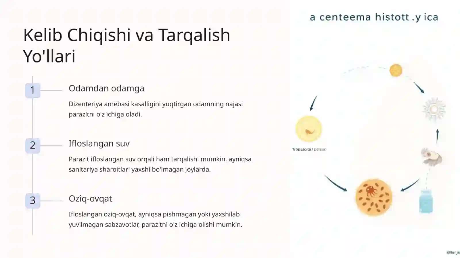 Ichak Parazitlari: Dizenteriya Amëbasi 3