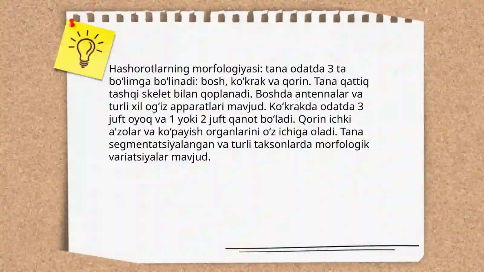 Hashorotlar 3