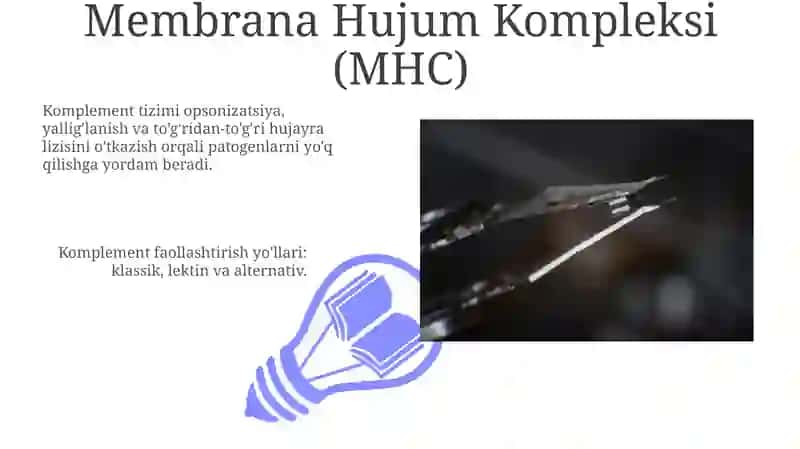 Komplement tizimning vazifalari 3
