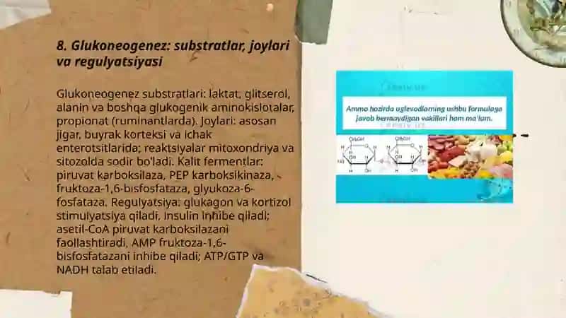 Uglevodlar almashinuvi va funksiyalari. 3