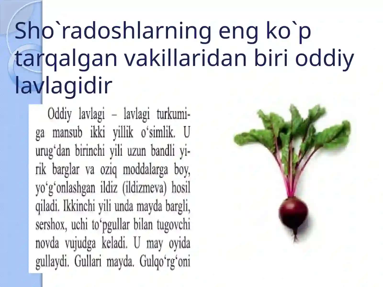 Sho`radoshlar oilasi 3