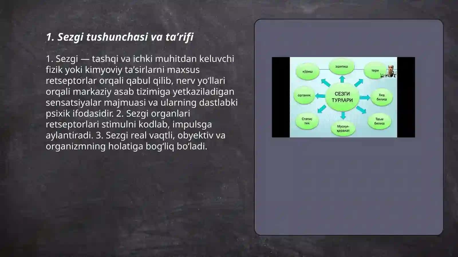 Sezgi 3