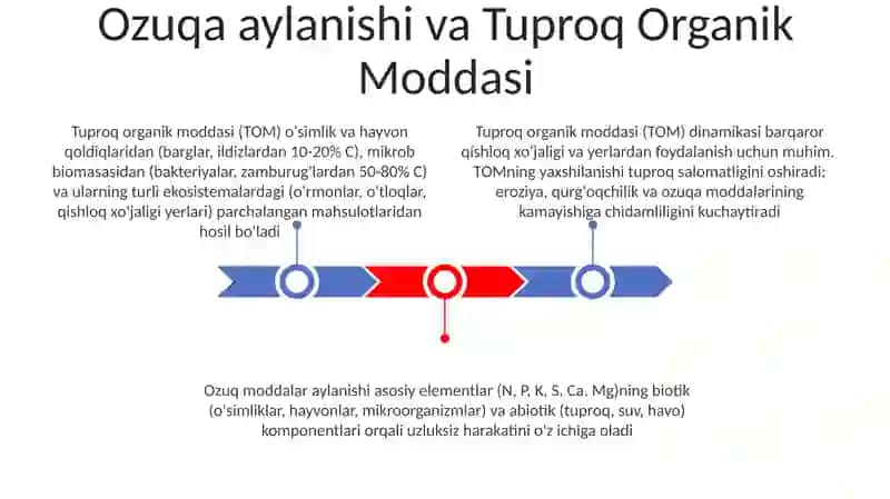 Tuproq organik moddasi 3
