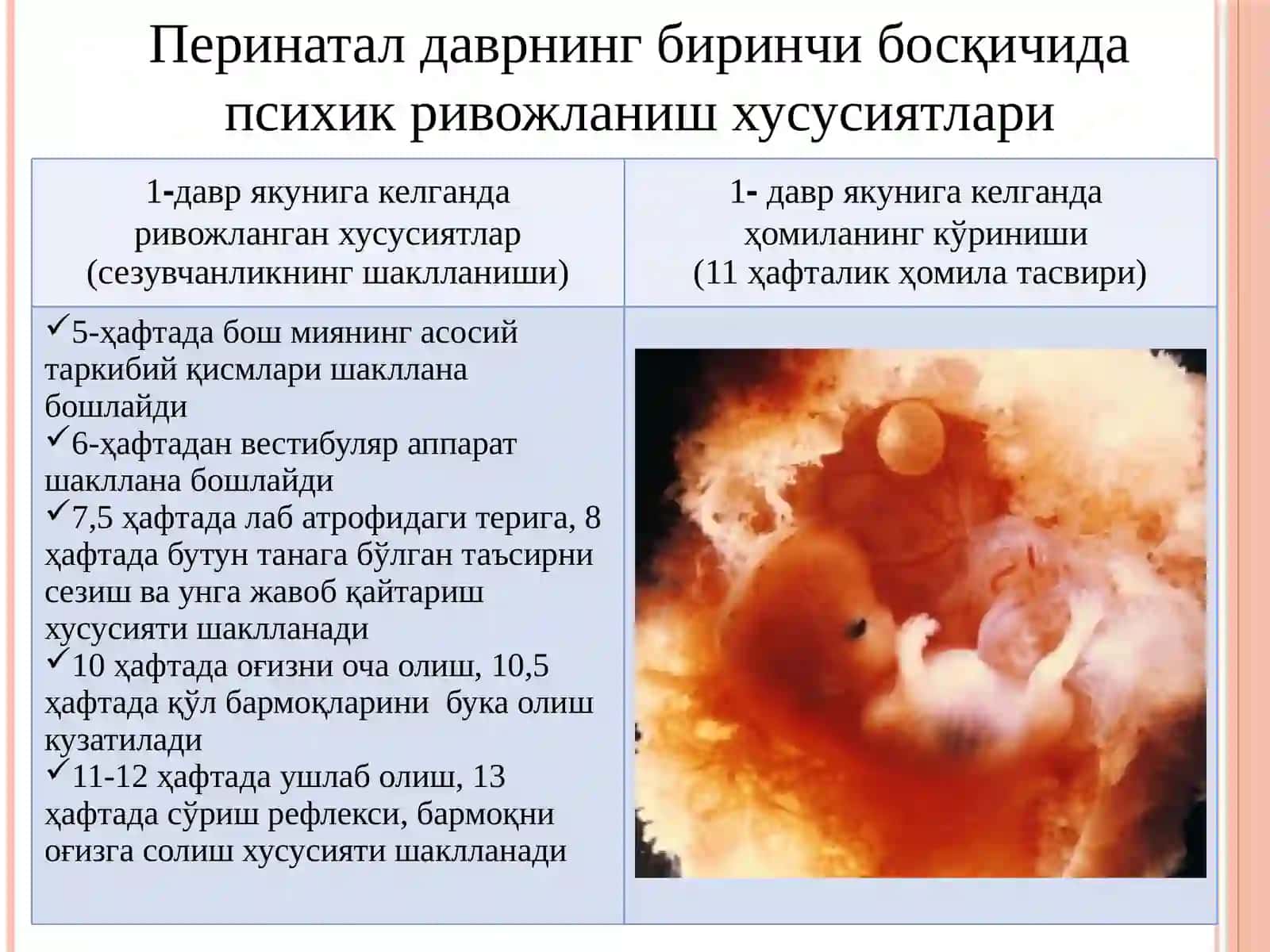 Ёш даврларининг психологик хусусиятлари 3