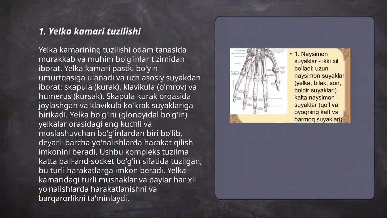 Yelka kamari tuzilishi 3