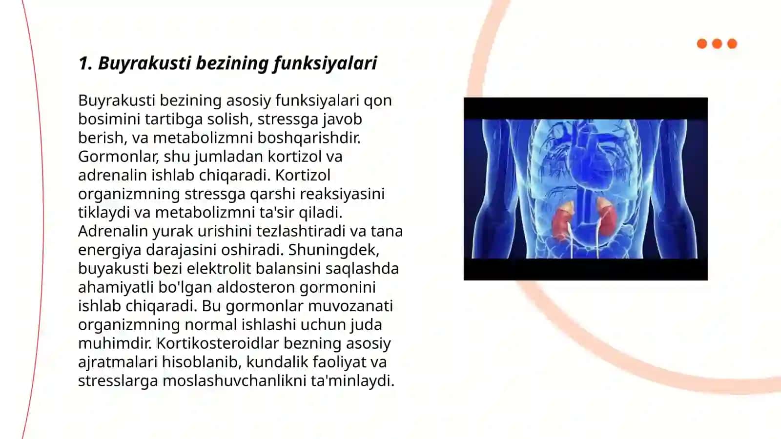 Buyrakusti bezi,me’daosti bezi, jinsiy bezlar 3