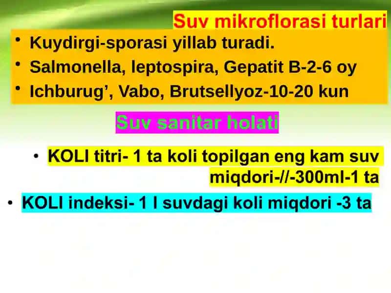 Mikroorganizmlar ekologiyasi 3