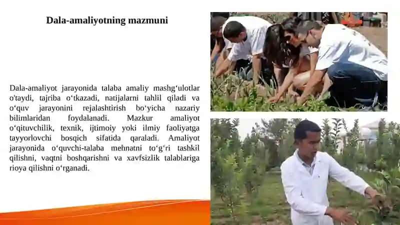 Dala-amaliyotning mazmuni 3