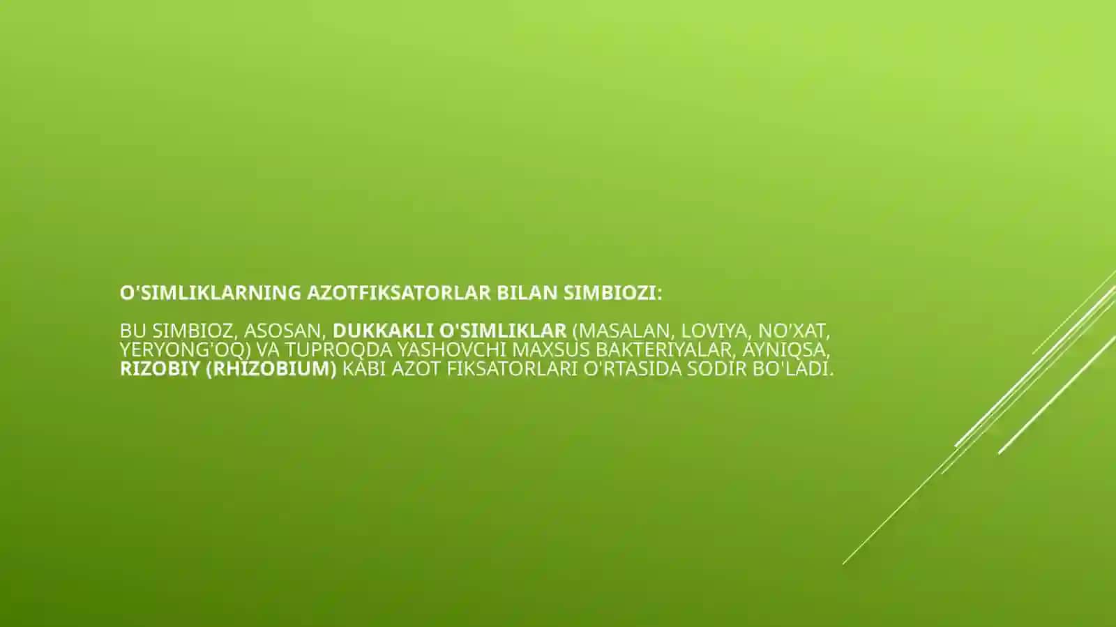 O’SIMLIKLARNING AZOTFIKSATORLAR BILAN SIMBIOZI 3