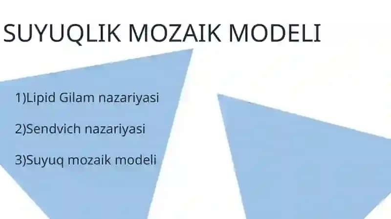 Moddalaralmashinuvi 3