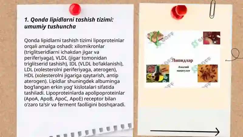 Qonda lipidlarni tashilish shakllari 3