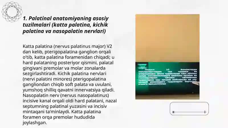 Palatinal og'riqsizlantirish 3
