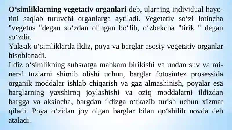 O‘simliklarning vegetativ organlari 3