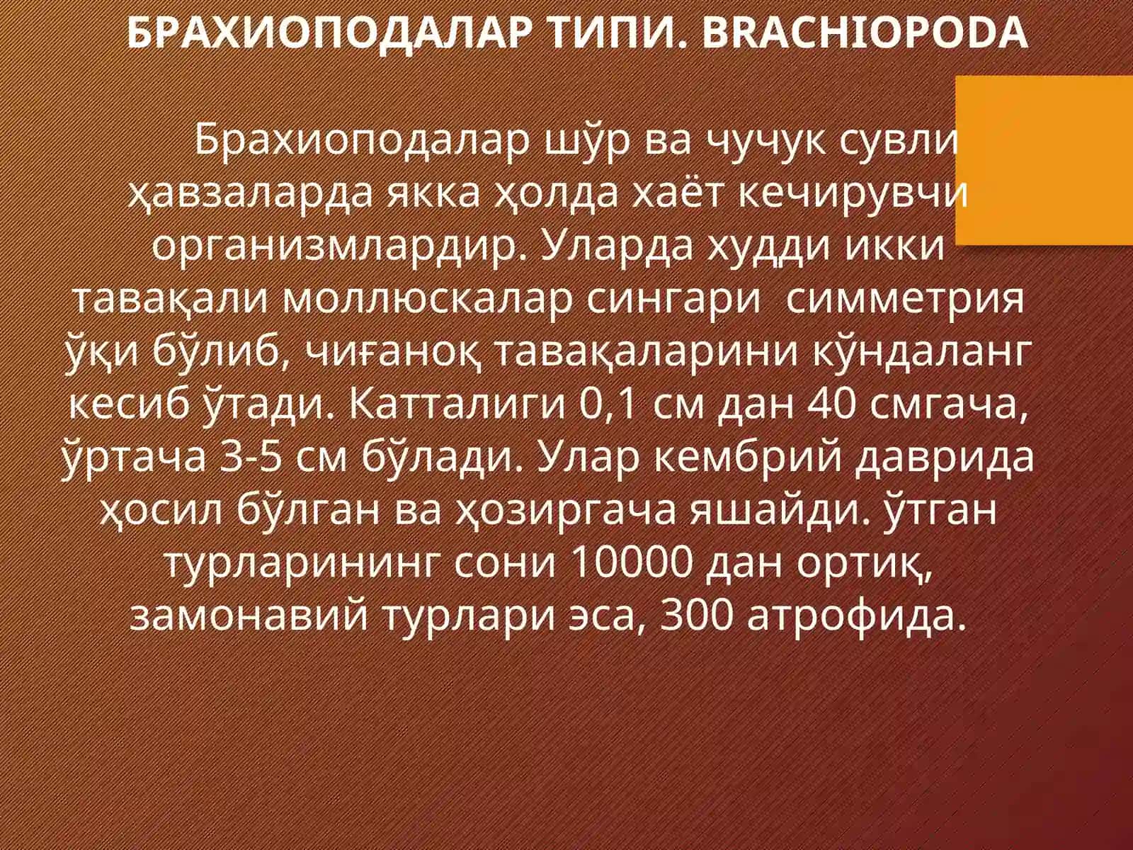 БРАХИОПОДАЛАР ТИПИ.BRACHIOPODA 3