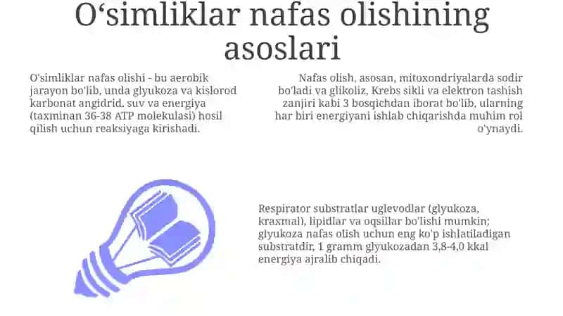 O'simliklar nafas olishi 3