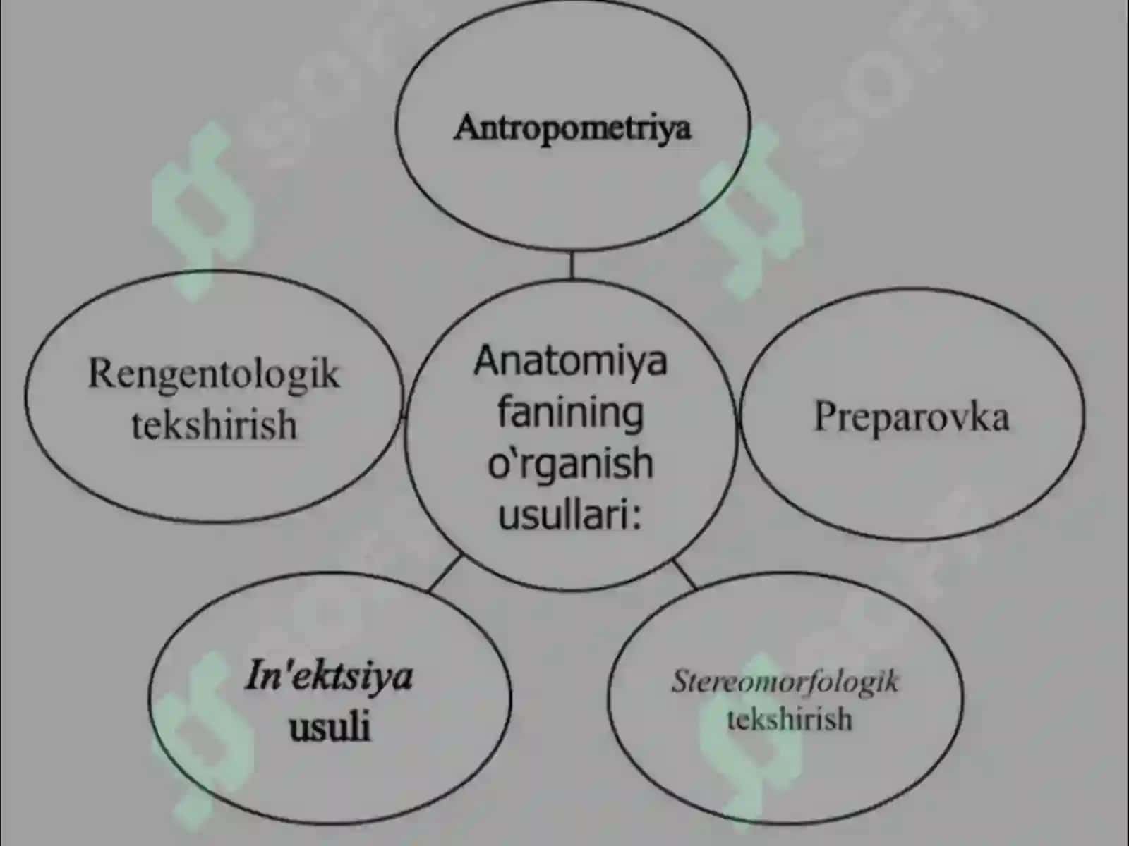 ANATOMIYANI O'RGANISH USULLARI 3