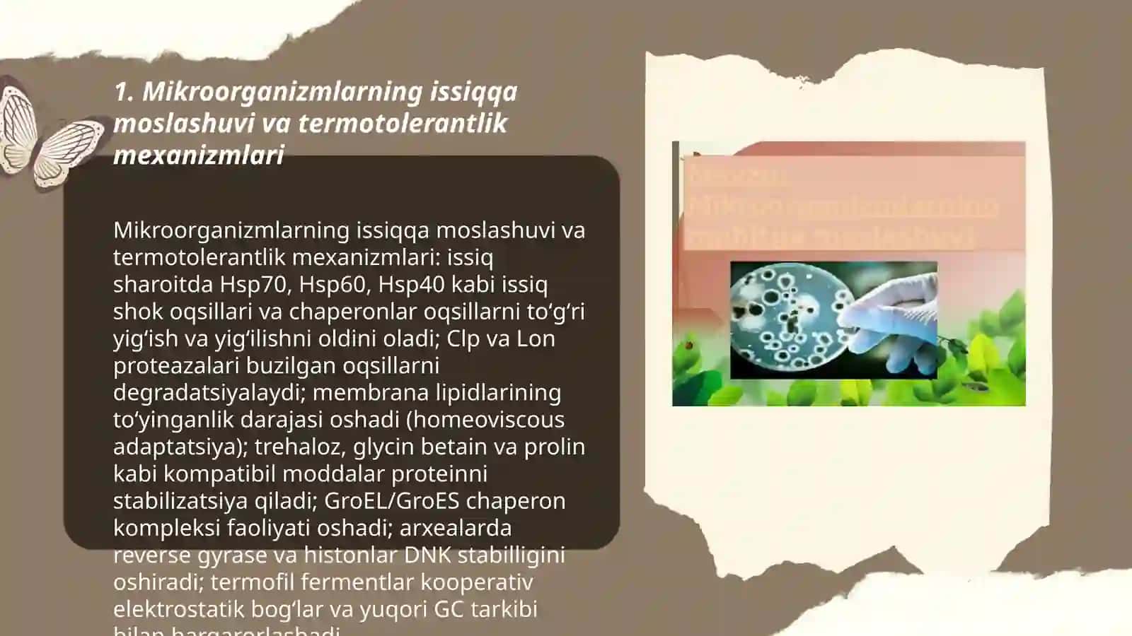 Mikroorganizmlarning muhitga moslashuvi 3