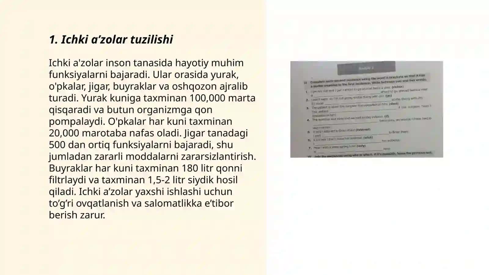 Ichki aʼzolar haqida tushuncha parenximatov va naysimon aʼzolar 3