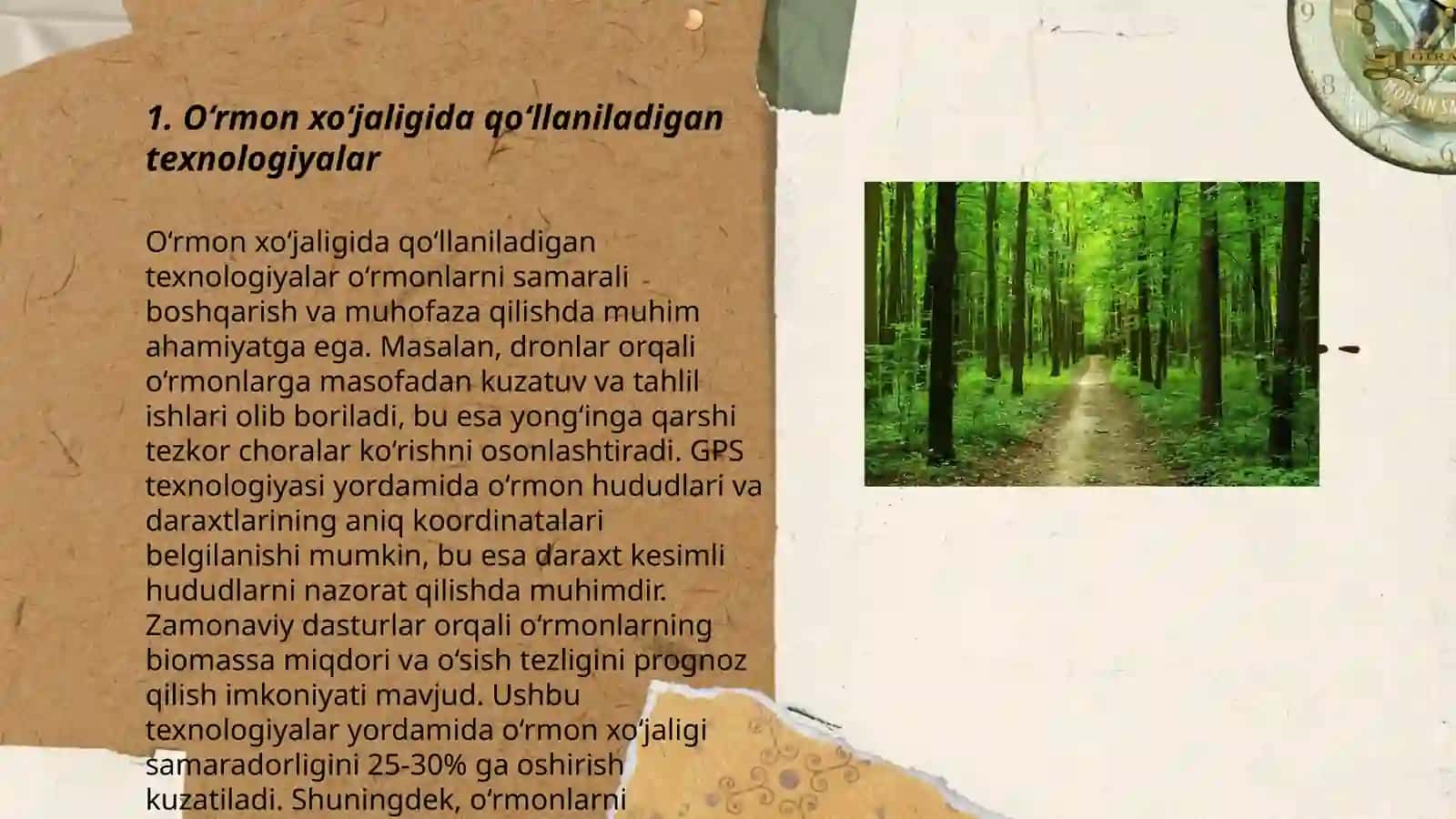 O’rmon xo’jaligi 3