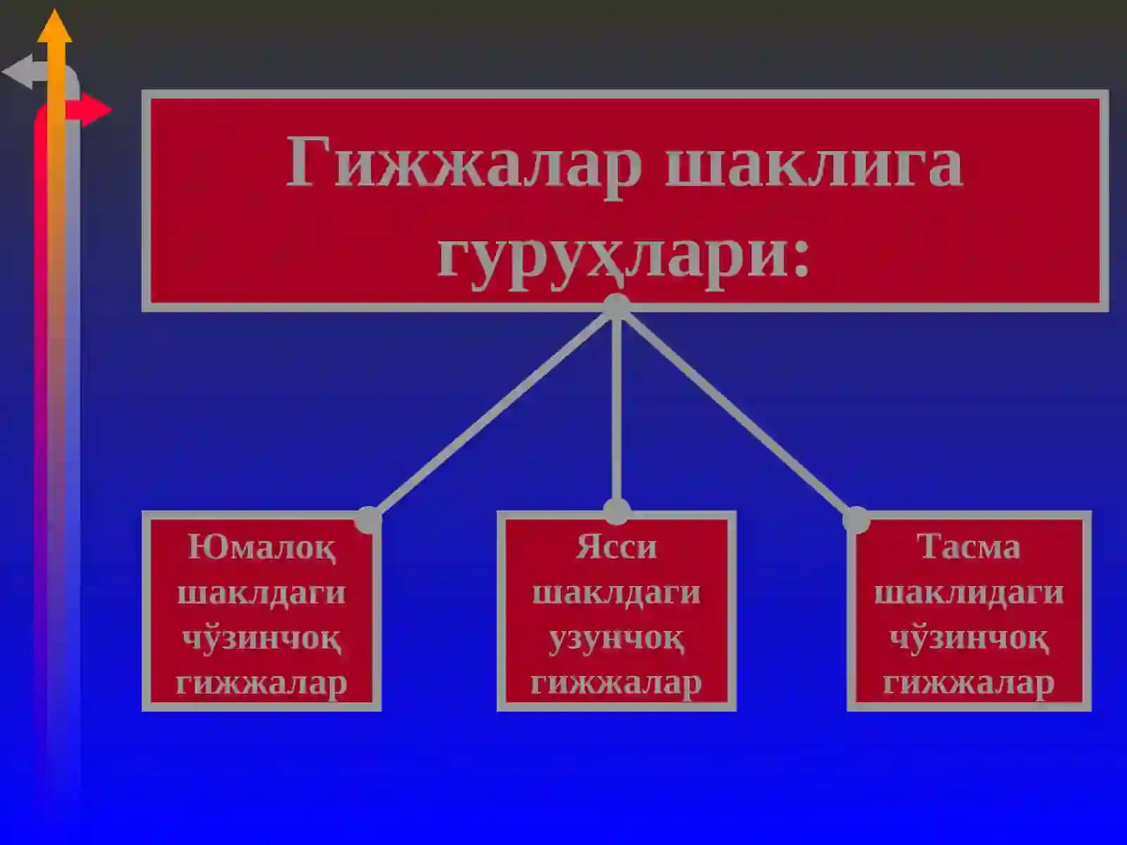 Гельминтозлар 3