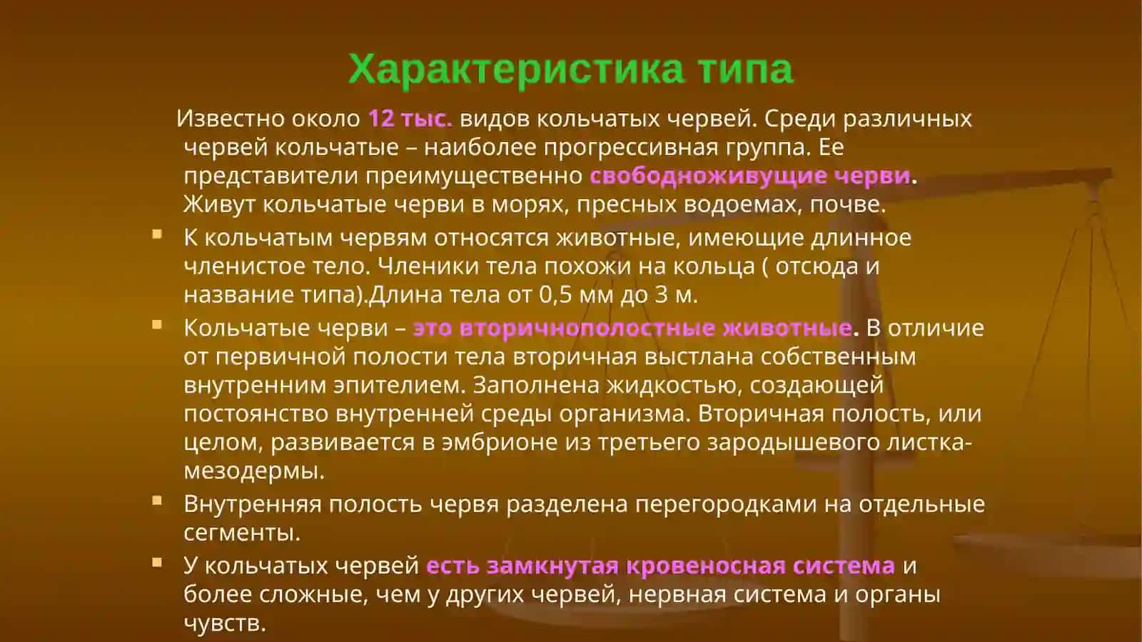 Тип кольчатые черви 3